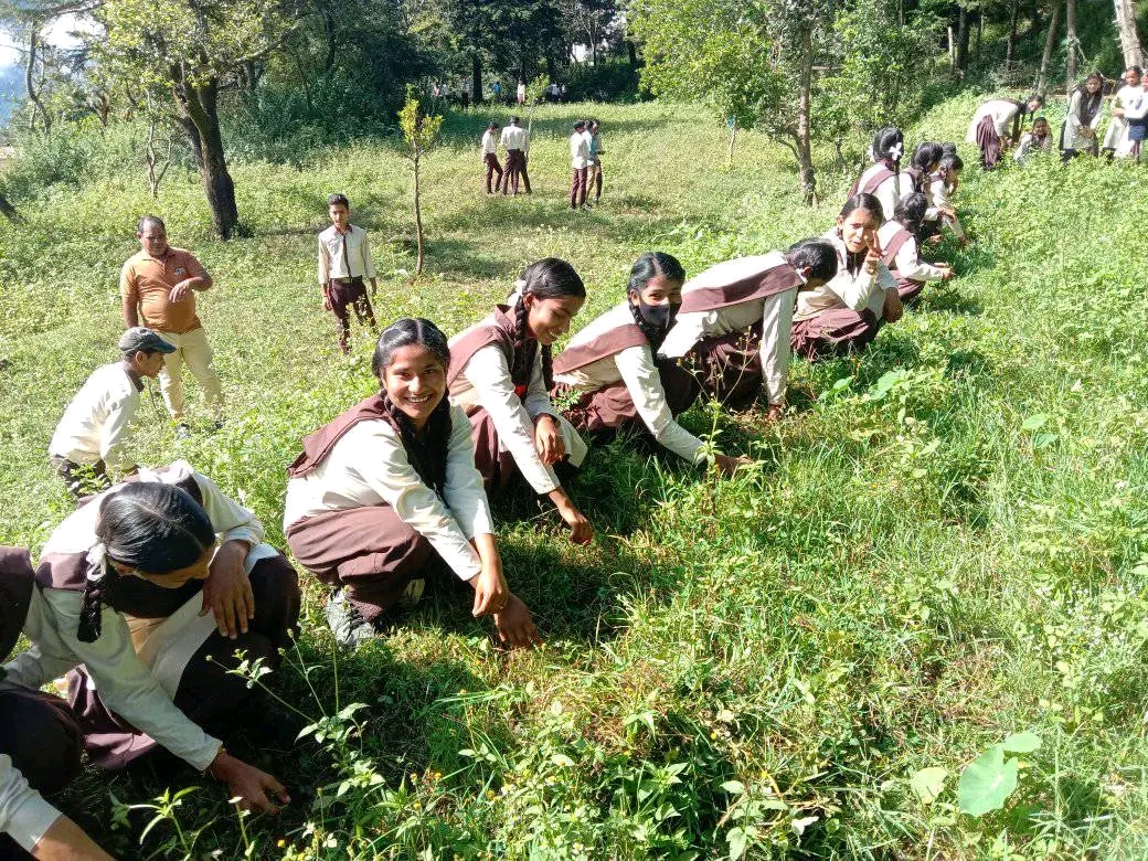 किचन गार्डन और ऑर्गेनिक फार्मिंग